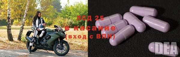 винт Алзамай